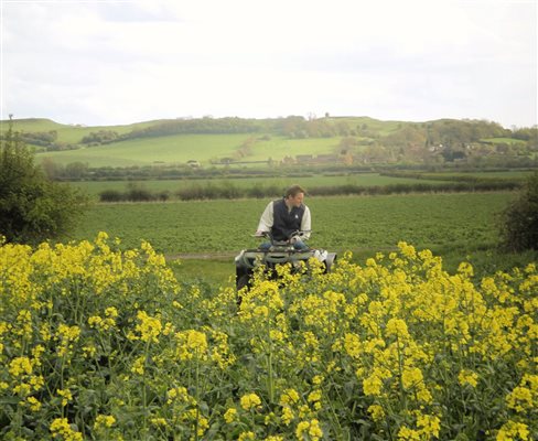 fields viewed from the cottages